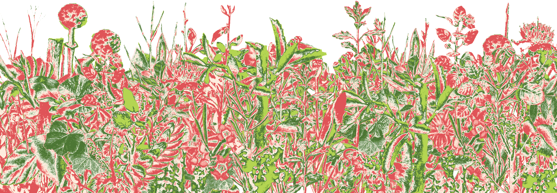 psychedelic red and green garden