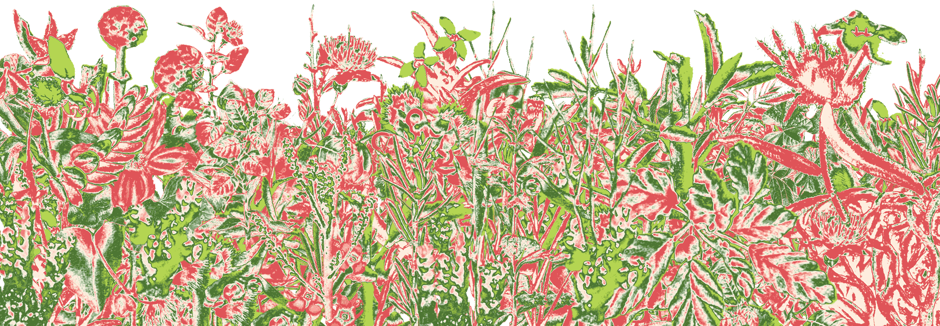 psychedelic red and green garden