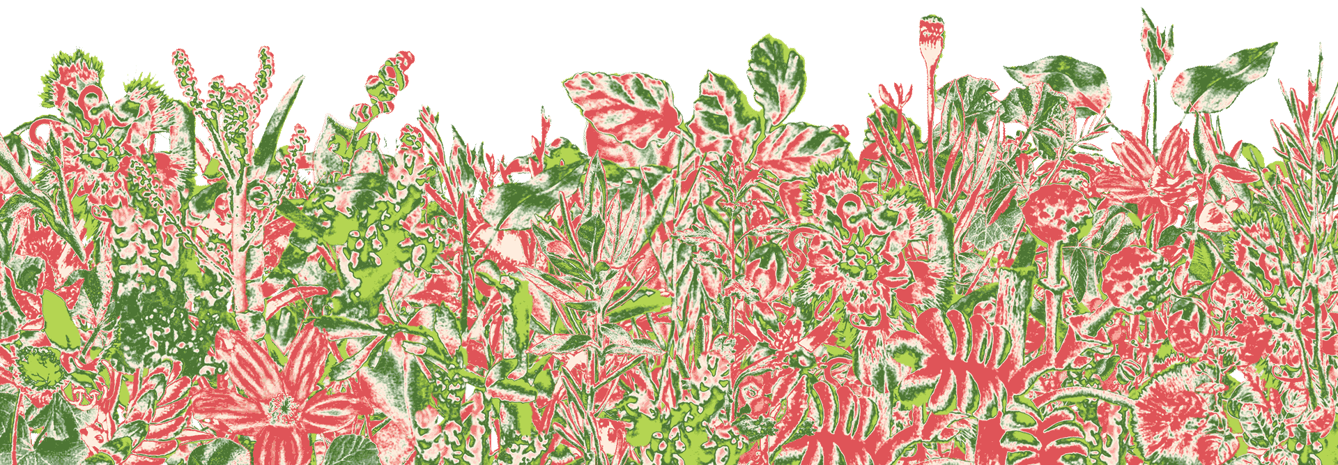 psychedelic red and green garden