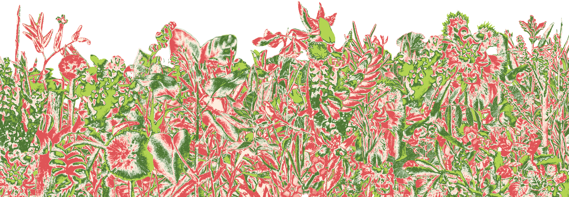 psychedelic red and green garden